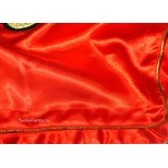 Женские шорты тайский бокс Fairtex (BS-206 red)